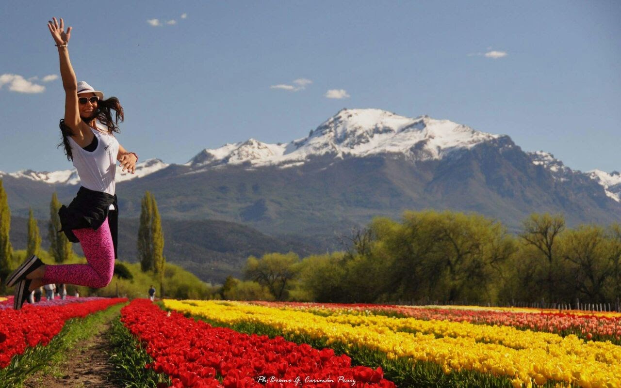 Patagonia